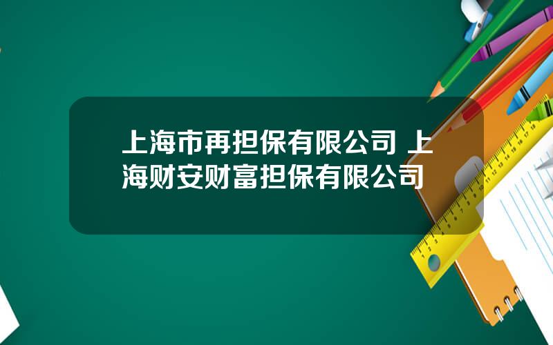 上海市再担保有限公司 上海财安财富担保有限公司